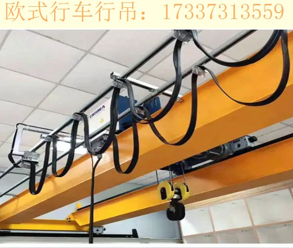 河北衡水桥式起重机厂家 桥式起重机的保养