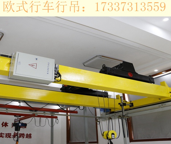 辽宁阜新欧式起重机厂家避免危害发生